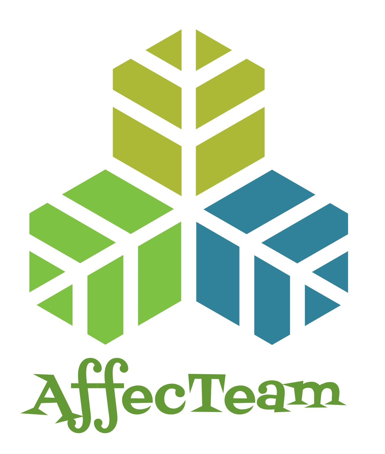 Linked logo for AffecTeam SL